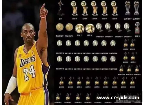 NBA历史巅峰：探索无法替代的传奇球星