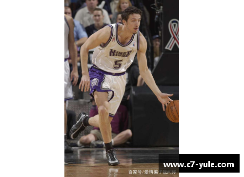 射手之光：NBA中的射手风云